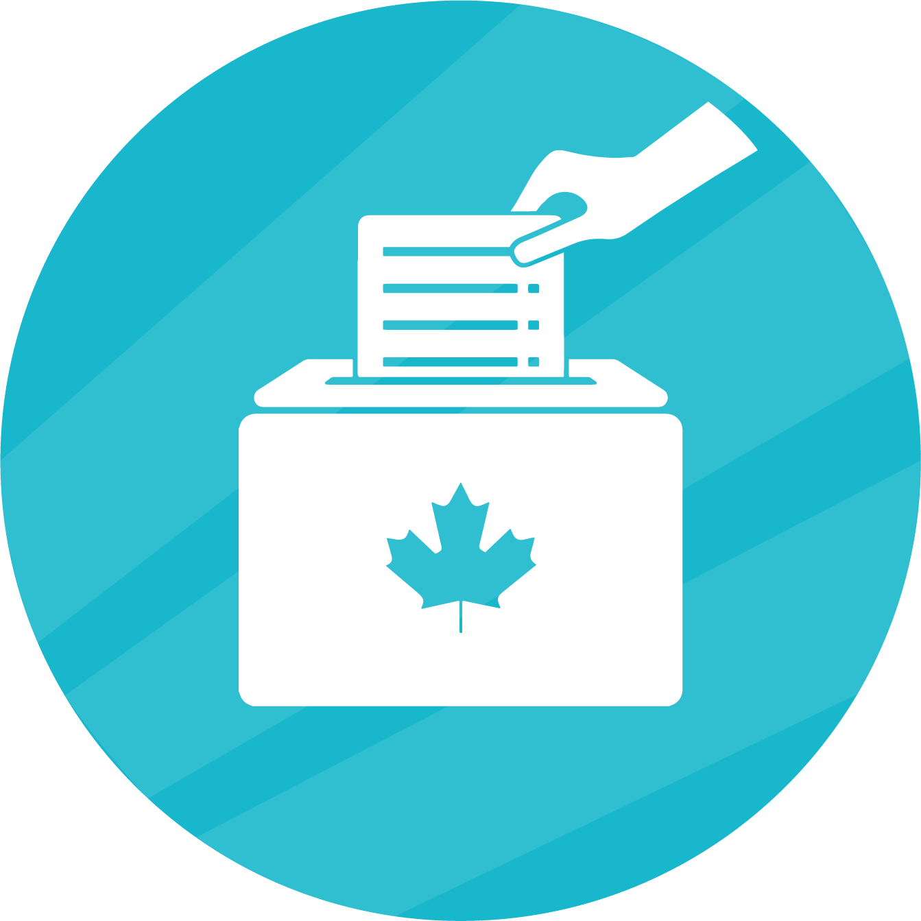 ACE Election Advocacy Icon ACE Election Advocacy Icon