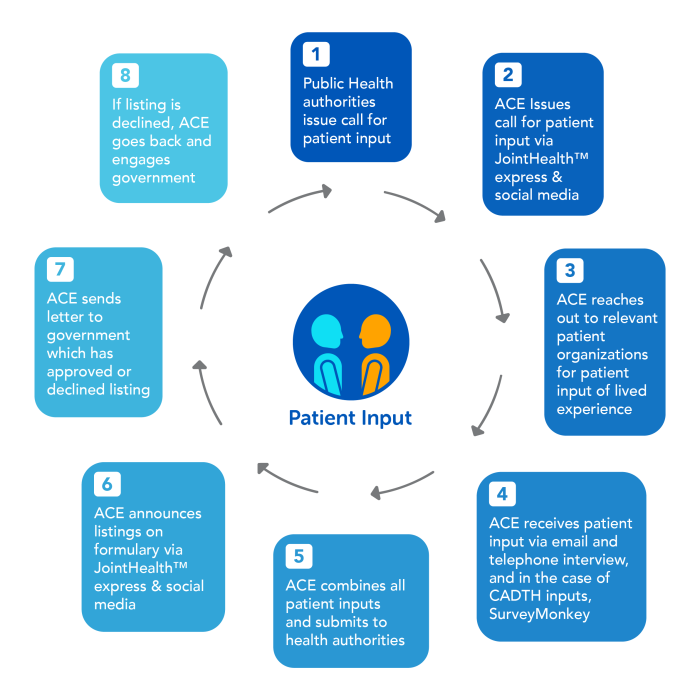 Patient Input Cycle Infographic Patient Input Cycle Infographic